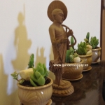 CHẬU CÂY SỐNG ĐỜI MINI 