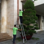 BẢO TRÌ SÂN VƯỜN CÔNG TY , KHÁCH SẠN