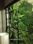 VERTICAL GARDEN TD SOLUTION COMPANY